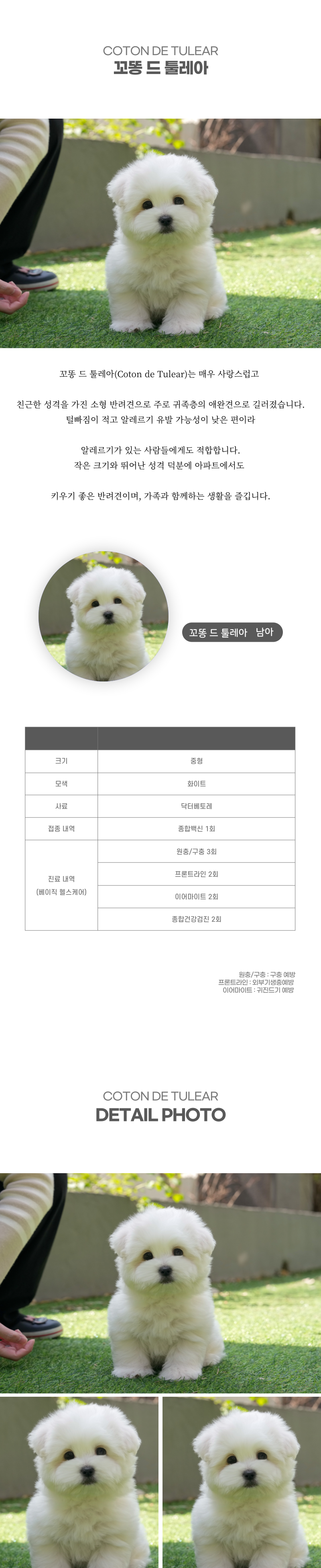 꼬똥_상세이미지_2